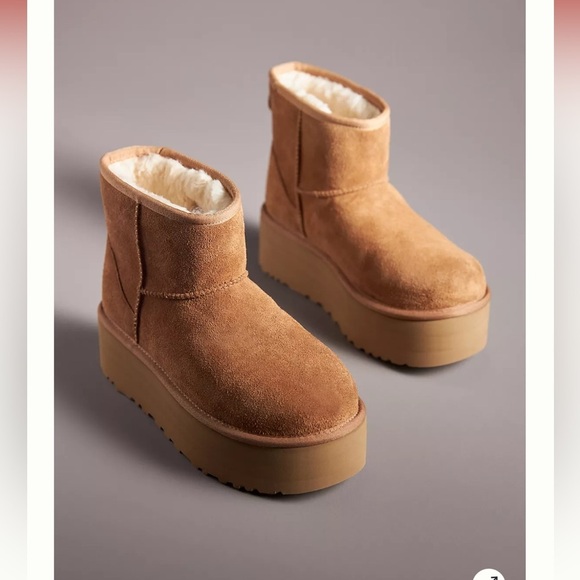 NWT UGG Classic Mini Platform Boots - Picture 1 of 6